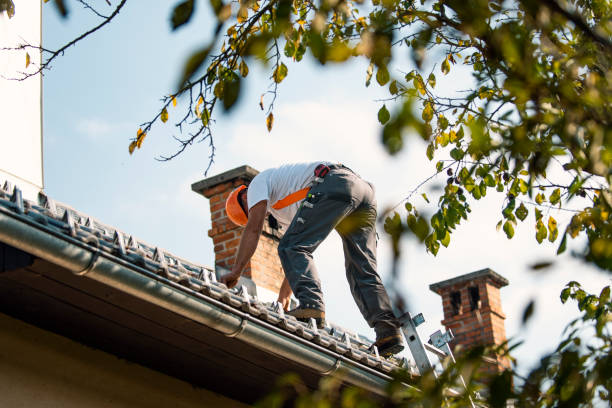 Best Commercial Roofing Services  in Syracuse, NE